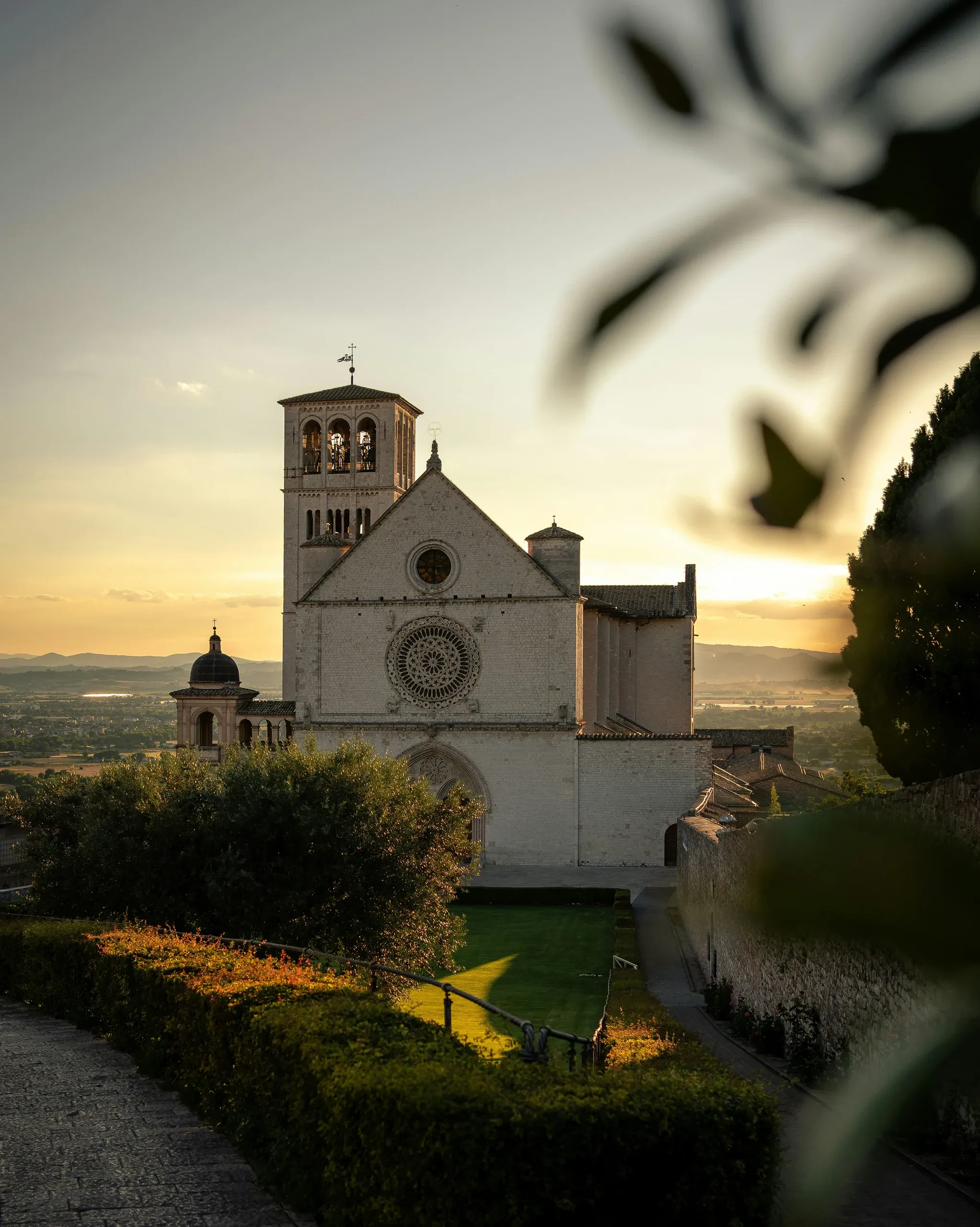 Basilica of San Francesco at sunset with rose window framed by olive branches