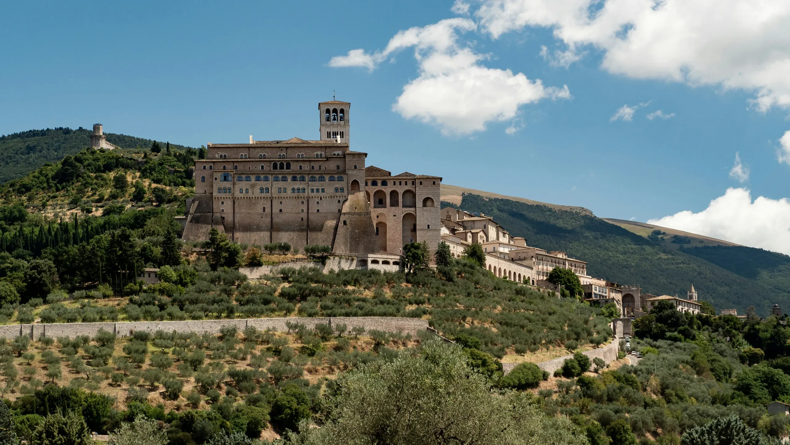 Distant view of the Basilica of San Francesco complex on the hilltop with olive groves