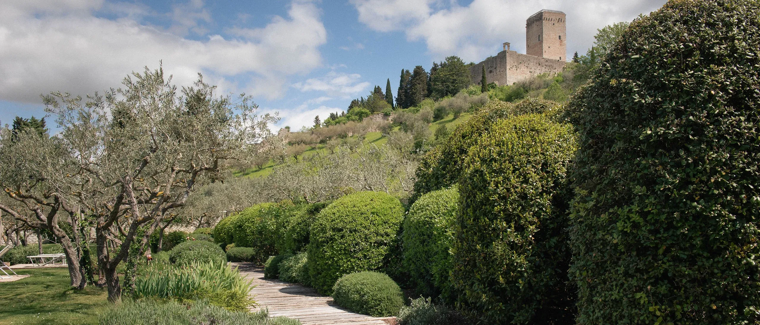 Panorama of NUN garden with topiary boxwood and olive trees with Rocca Maggiore behind